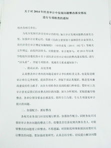 經(jīng)濟責(zé)任審計整改報告(經(jīng)濟責(zé)任審計整改情況報告)