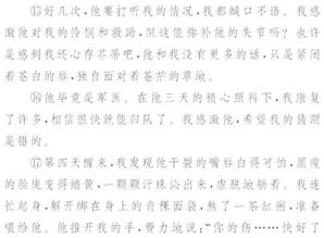 形容孝順作文開頭和結(jié)尾