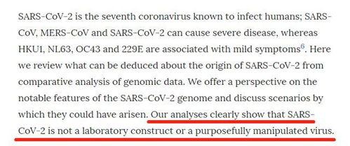 關(guān)于肝臟病毒的作文開頭
