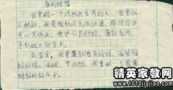 理想中的自己500字作文開(kāi)頭結(jié)尾