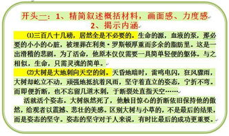 教資作文開(kāi)頭怎么寫(xiě)