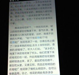 關(guān)于寫桂花的作文開頭