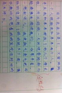 關(guān)于媽媽的改變作文開頭