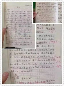 母親小傳作文600字初二開頭