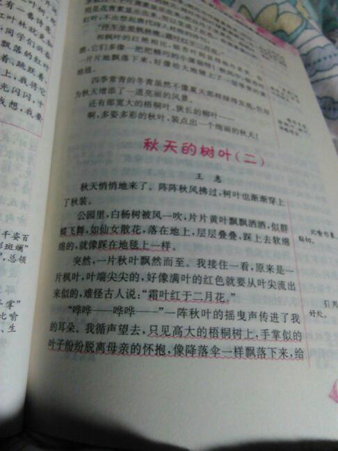 寫(xiě)人的作文五級(jí)同學(xué)的作文開(kāi)頭