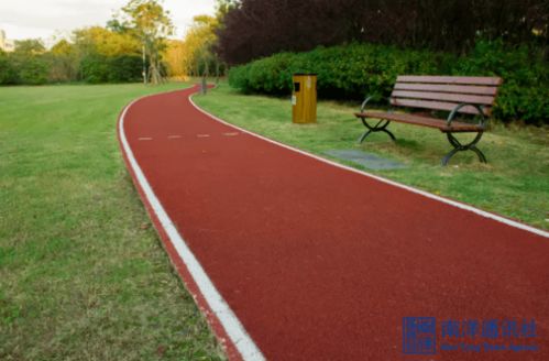 清晨陽光起床的作文開頭