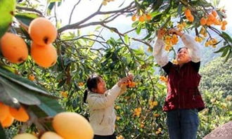 關于愛家鄉(xiāng)600字作文開頭