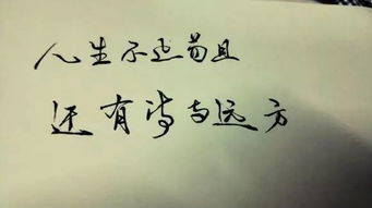 詩和遠(yuǎn)方作文開頭