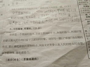 作文,開頭,草原,森林