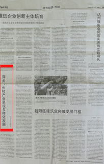 關(guān)于鄉(xiāng)村振興的調(diào)研報(bào)告(關(guān)于鄉(xiāng)村振興的調(diào)研報(bào)告)