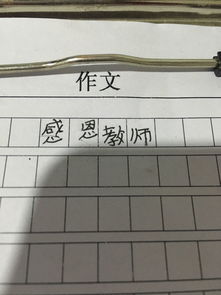 感恩老師寫100個(gè)字以上作文開頭結(jié)尾