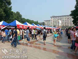 記者考研現(xiàn)場調(diào)查報告(記者現(xiàn)場報道稿件)