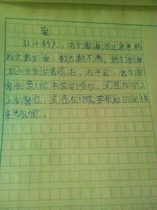 母愛(ài)詩(shī)句的作文開(kāi)頭作文題目