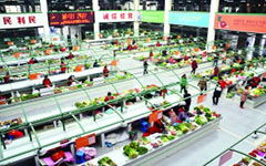 去菜場(chǎng)作文(去菜場(chǎng)買菜作文550字)