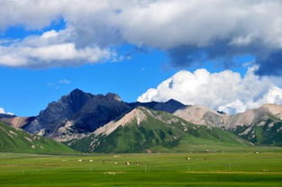 最美的風(fēng)景作文開頭50字