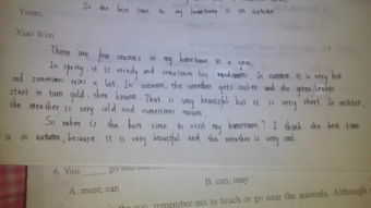 幫助別人的英語作文,教別人學英語的英語作文,給別人學英語的建議英語作文