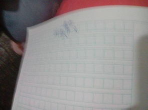 一位嚴(yán)厲好老師作文800字作文開(kāi)頭