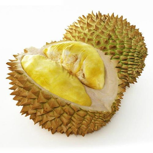 榴蓮說明文(榴蓮說明文)