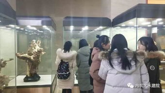 我的肩膀能挑多重的擔(dān)子作文開頭