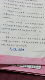 從小草悟出道理的作文開(kāi)頭