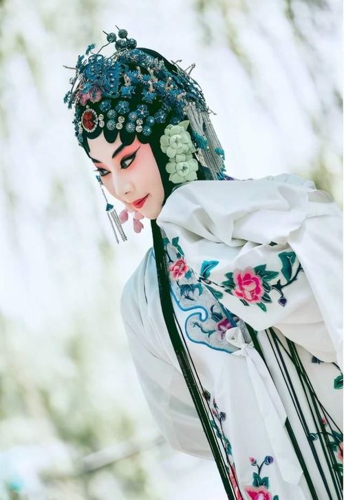 對歷史人物說的作文開頭