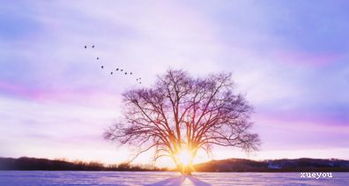 成長的作文開頭優(yōu)美句子