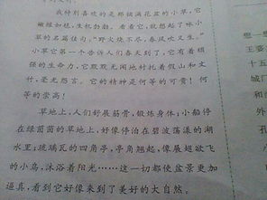 關(guān)于擬人句的作文開頭