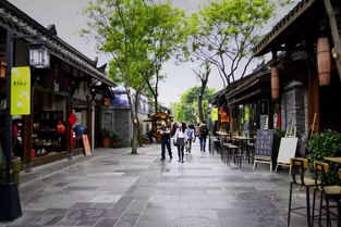 寫(xiě)遺跡的作文寬窄巷子開(kāi)頭結(jié)尾