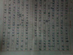 過精彩假期做美德少作文600字作文開頭