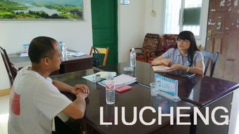 村兩委換屆考察報告()