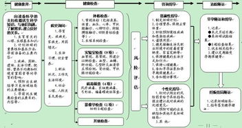 建設項目實施方案(學校建設項目策劃書)
