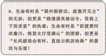 我的老師引用的作文開(kāi)頭