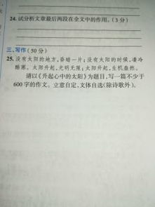 我心中的太陽記敘文600字作文開頭