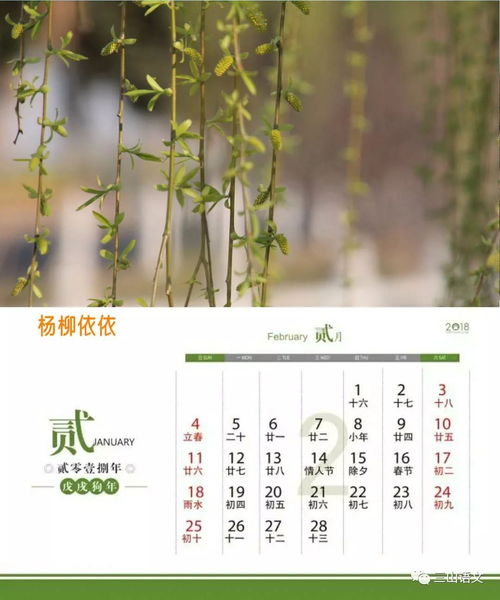 2018紅月亮作文開頭