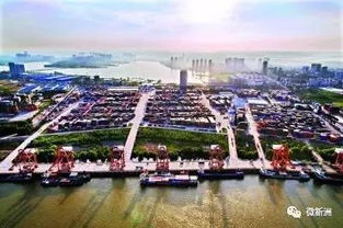 長江新城建在哪兒？(宜家到底建在哪？)