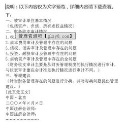 企業(yè)財務(wù)收支審計報告(公司財務(wù)收支審計報告)