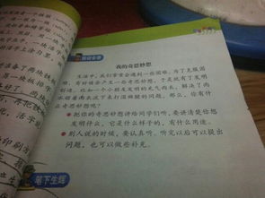 以奇思妙想為主題的作文開頭