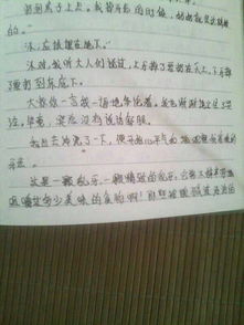 寫趣事的作文開頭怎么寫