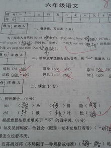 關(guān)于期中考試反思作文的開頭