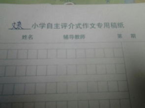 放風(fēng)箏勵志開頭作文500字