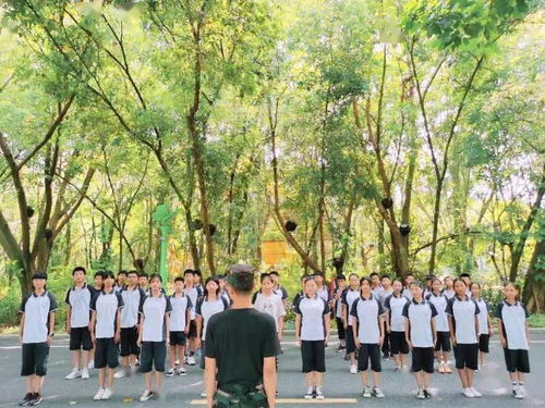 班級風(fēng)采展新聞稿參考(大學(xué)班級風(fēng)采展)