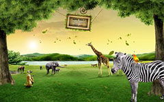 關(guān)于野生動(dòng)物作文的開(kāi)頭