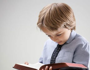 我愛讀書作文開頭小學(xué)