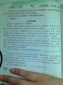 小學(xué)生關(guān)于動物的作文(小學(xué)生關(guān)于動物的作文500字)