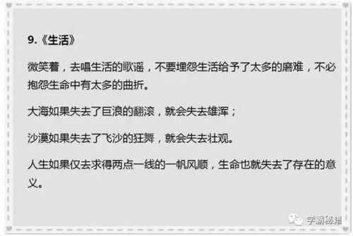 描寫菠菜的作文開頭