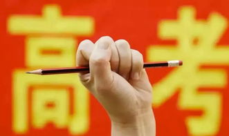  新高考改革何去何從(村治改革，組長何去何從)