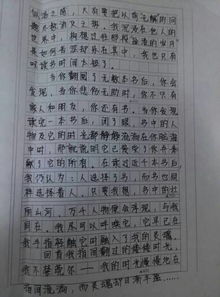 生活中最溫暖的事作文600字作文開頭