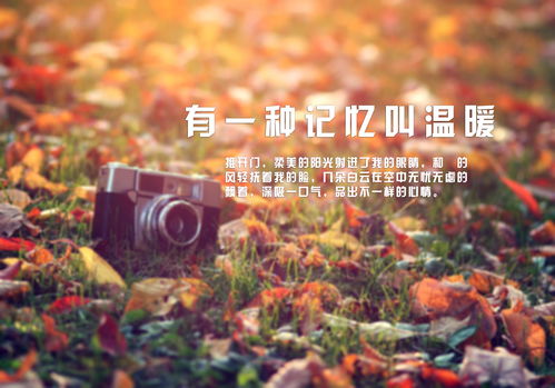 我記憶深處的目光作文開頭結(jié)尾