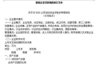 企業(yè)貸款調(diào)查報(bào)告(企業(yè)貸款調(diào)查報(bào)告)