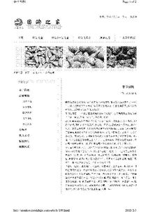 春節(jié)感悟的作文的開頭